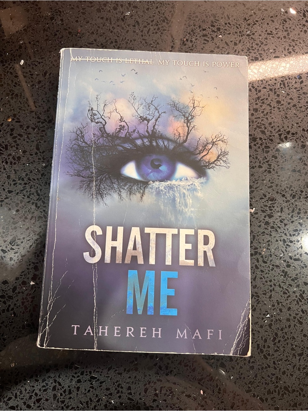 Shatter Me Book